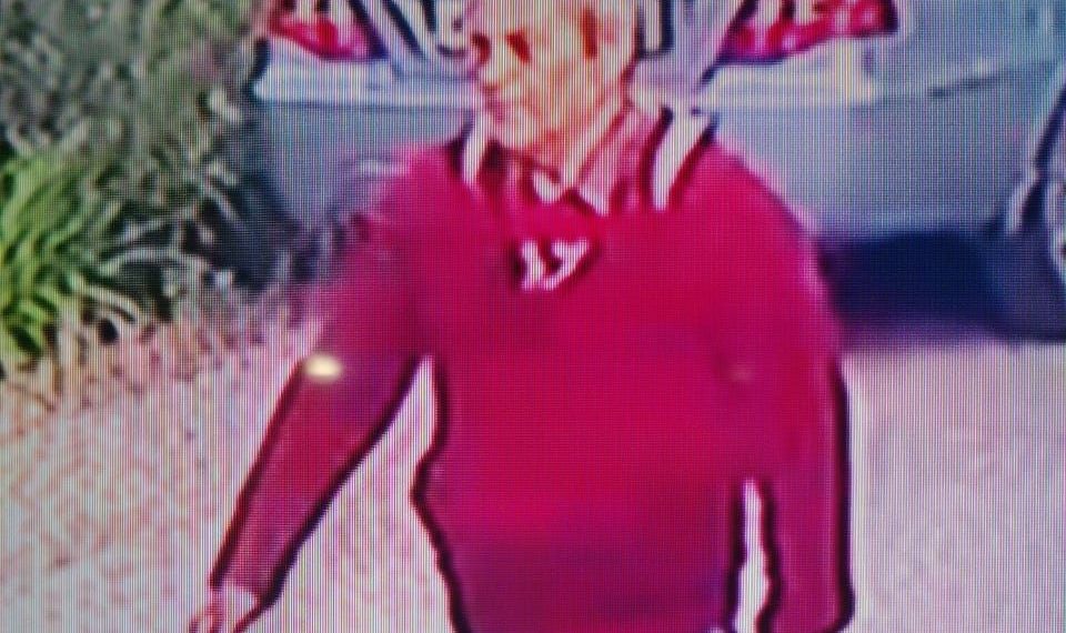 В Геленджике на тропе здоровья без вести пропал 55-летний мужчина с собакой