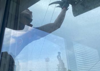 В Новороссийске сотрудники МЧС спасли птицу, застрявшую в креплении кондиционера