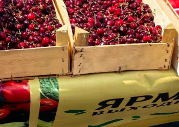 Черешню по цене отборной свинины продают в Краснодаре