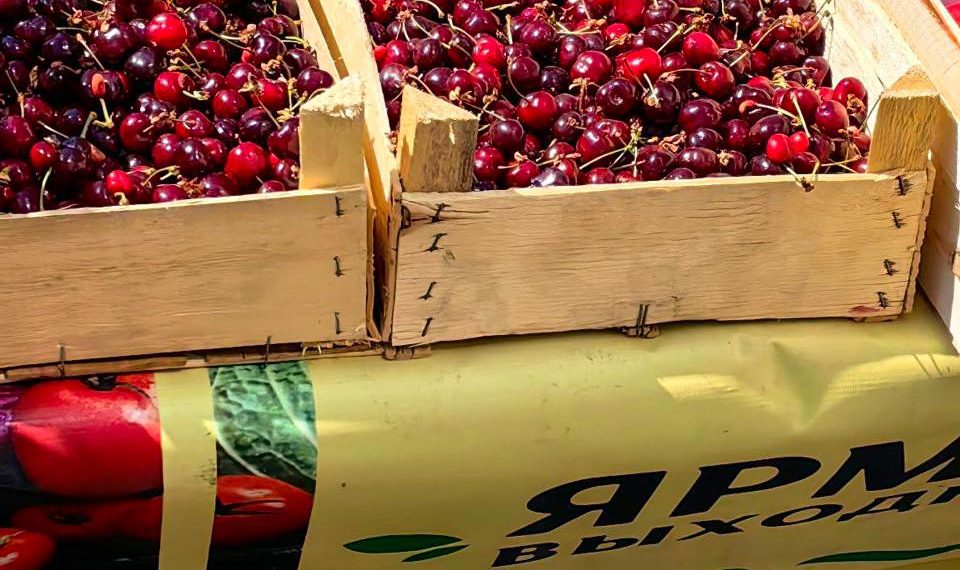 Черешню по цене отборной свинины продают в Краснодаре