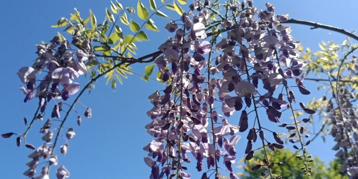 Серьезные изменения в погоде на Кубани произойдут в начале следующей недели