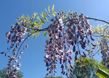 Серьезные изменения в погоде на Кубани произойдут в начале следующей недели