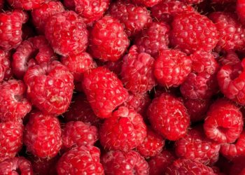 Малину по драконовской цене 2000 рублей за килограмм нашли в Краснодаре