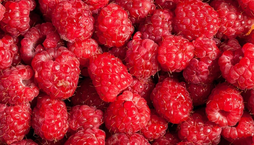 Малину по драконовской цене 2000 рублей за килограмм нашли в Краснодаре