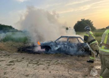 В Адыгее 3-летняя девочка заживо сгорела в машине. Родители собирали клубнику