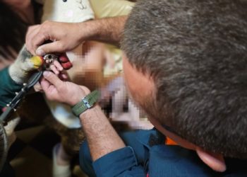 В Сочи спасли двухлетнего мальчика, застрявшего в сливном отверстии ванной