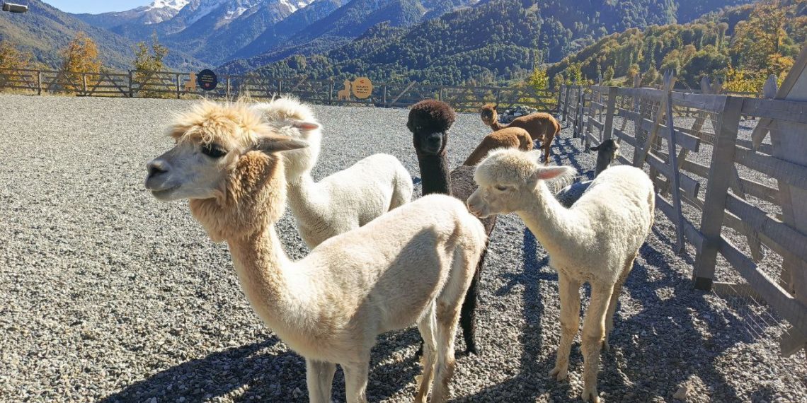 На 4 мая территория Кубани окажется в области гребня антициклона. Что это значит