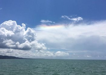 Стало известно, когда на Кубань на новой неделе зайдет самый теплый день