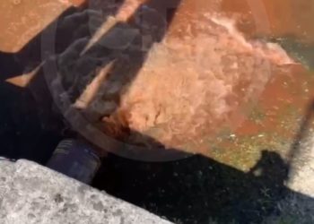 В реку Псахе в Сочи сливают неизвестную жидкость