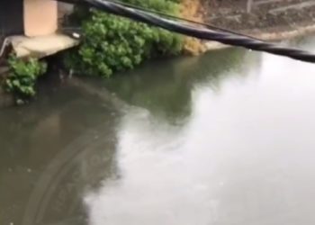 В сочинском Дагомысе сливают фекалии в реку