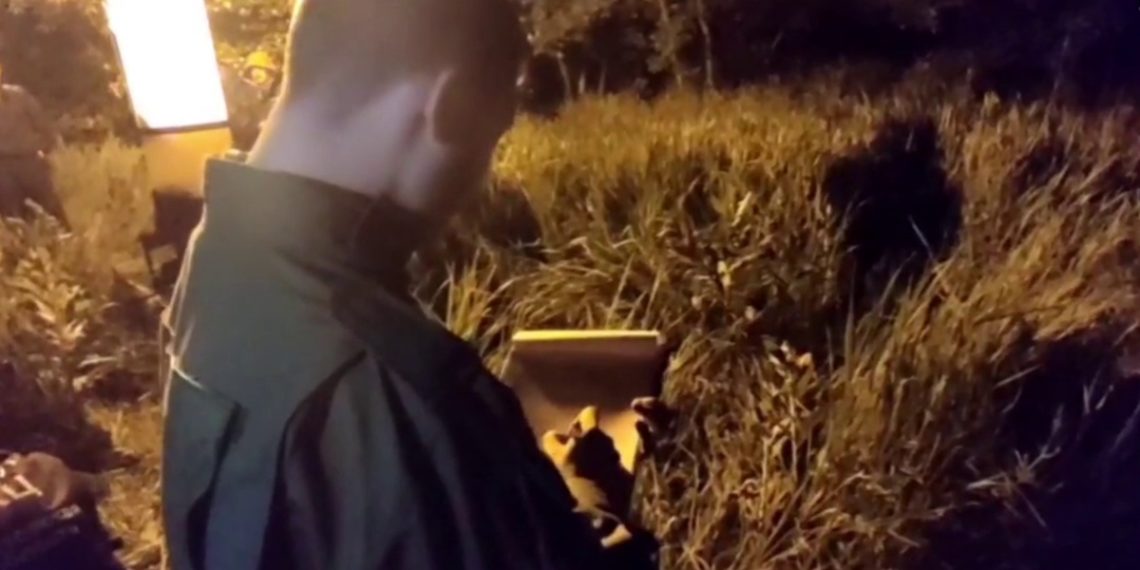 Ольга Шарникова: убитая под Ростовом племянница никогда бы не села в машину сама