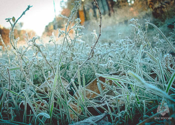 В каких районах на Пасху на Кубани ударят заморозки, рассказали метеорологи