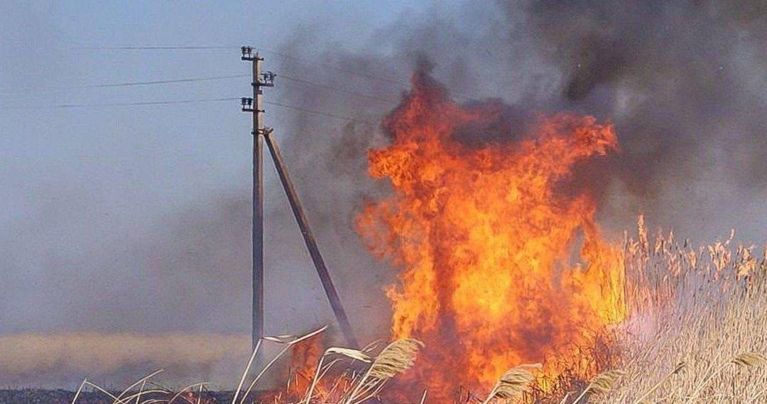 «Россети Кубань» напоминает о необходимости соблюдения правил пожарной безопасности в охранных зонах воздушных ЛЭП