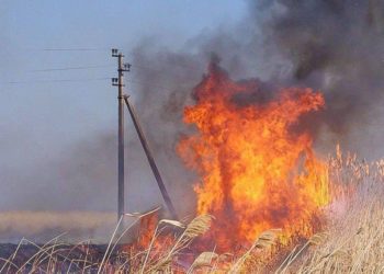 «Россети Кубань» напоминает о необходимости соблюдения правил пожарной безопасности в охранных зонах воздушных ЛЭП