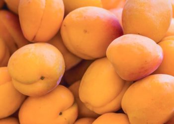 В Майкопе трансвестит на “Тойоте” в женских топике и джинсах ворует абрикосы