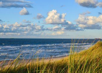 Море у берегов Сочи разогрелось до +24 градусов