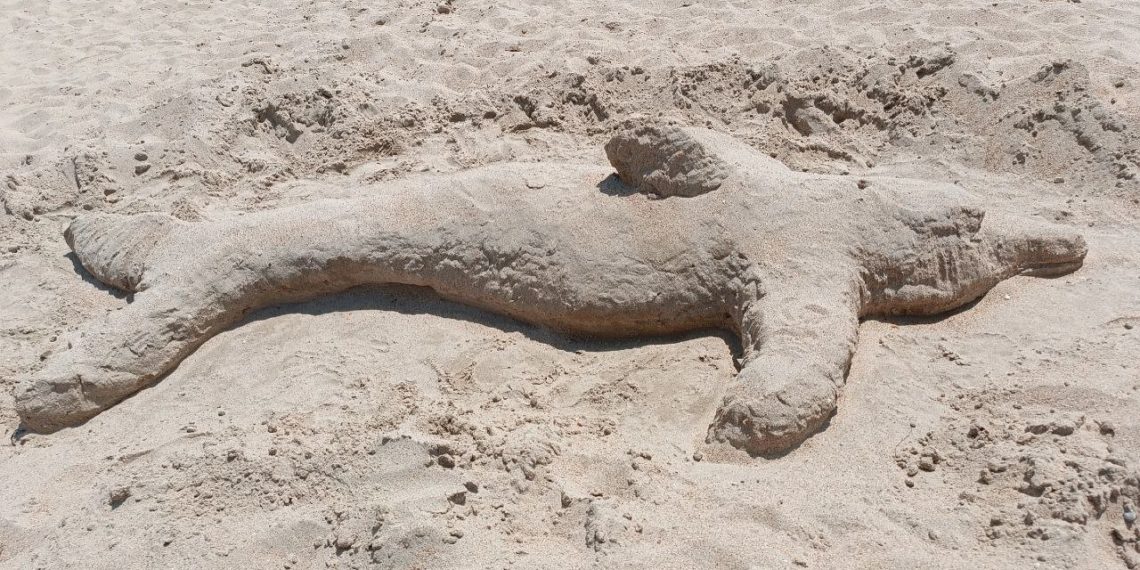 Метеорологи резко изменили прогноз на предстоящие выходные в Краснодарском крае