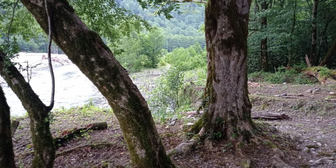 Будет ли дождь: прогноз погоды на субботу 8 июня 2024 года в Краснодарском крае