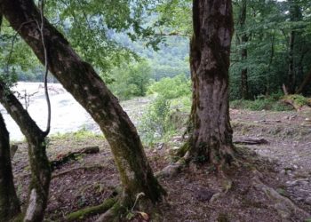 Будет ли дождь: прогноз погоды на субботу 8 июня 2024 года в Краснодарском крае