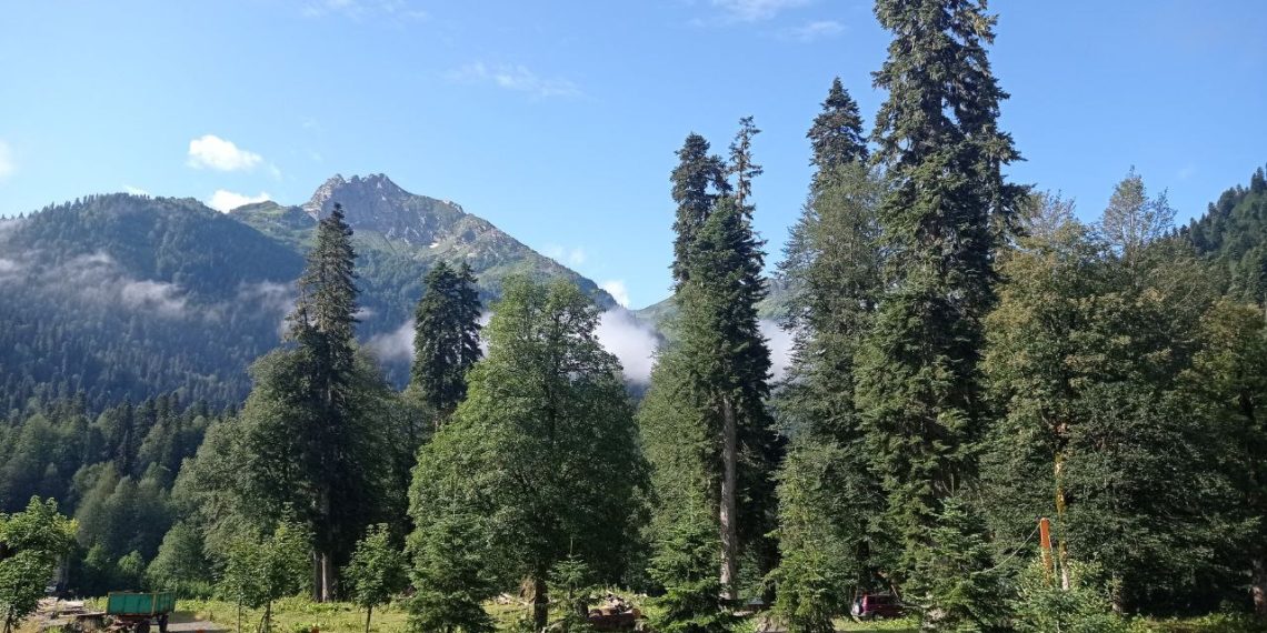 Жара на Кубани на следующей неделе только усилится. Где будет самое пекло