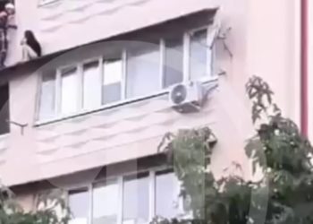 В Сочи сняли с карниза устроившую погром неадекватную девушку