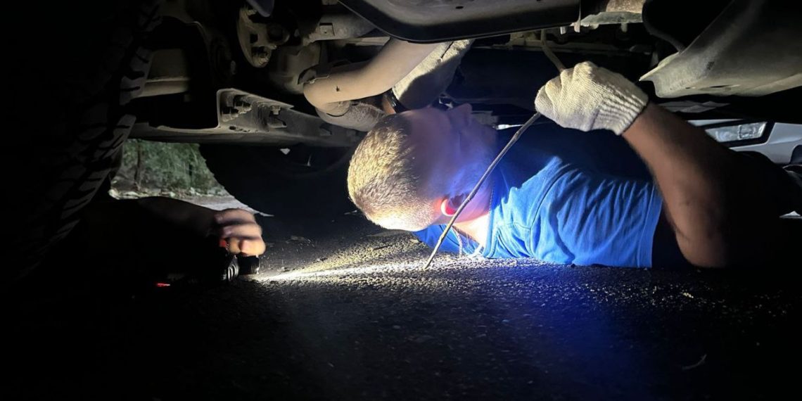 В Новороссийске спасли котенка, забившегося под днище автомобиля