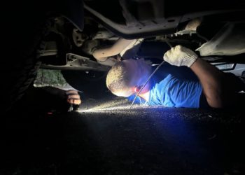 В Новороссийске спасли котенка, забившегося под днище автомобиля