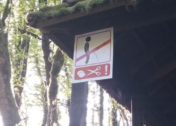 В Сочи выступили с инициативой лишать мужского достоинства “писающих мальчиков”