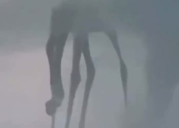 Смерч в виде монстра сняли на видео очевидцы в Анапе