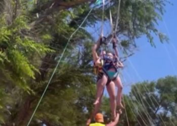 На Кубани туристов на парашюте занесло на дерево