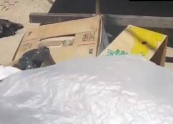 Жители Краснодара жалуются на мусор от безответственных кубанцев