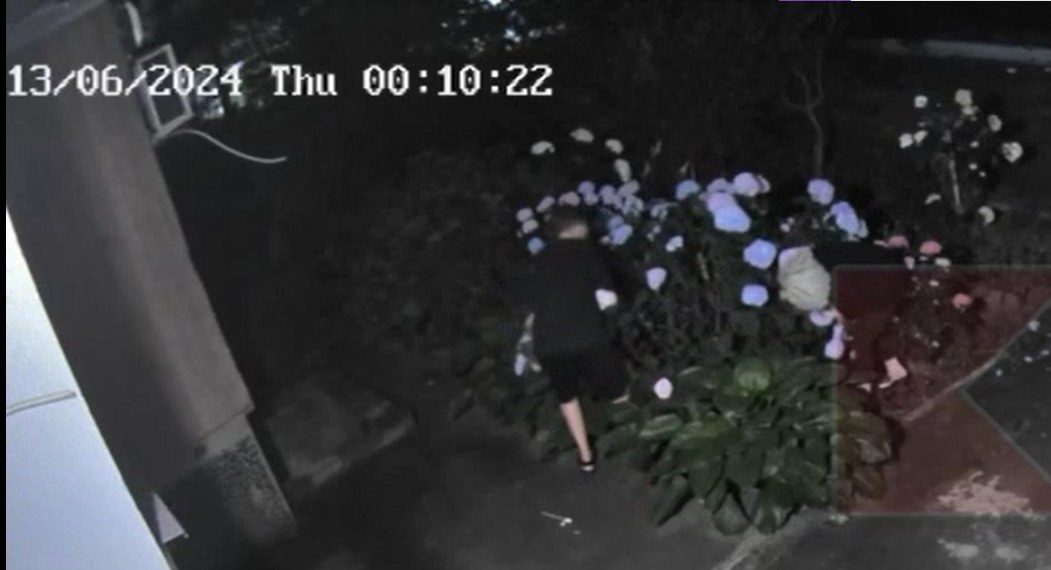 На Кубани жители жалуются на цветочных воришек: они действуют по ночам