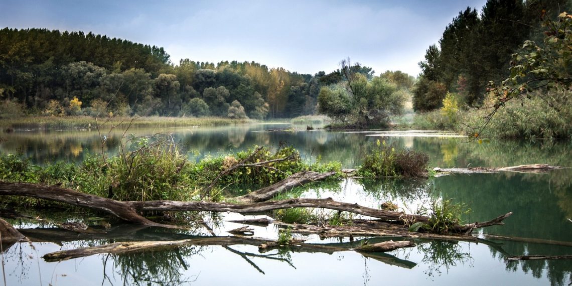 Специалисты Росприроднадзора выяснили, что сливают в реку Кубань