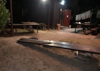 Полиция ищет мужчин, устроивших погром в конном клубе в Геленджике 