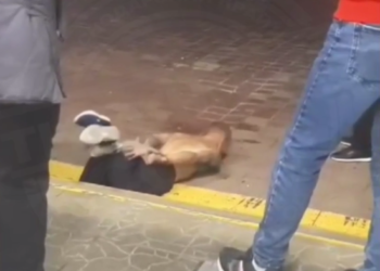 Полуобнаженный мужчина кидался на сотрудников супермаркета в Сочи