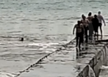 Тонувшего в шторм отдыхающего спасли на пляже в Сочи