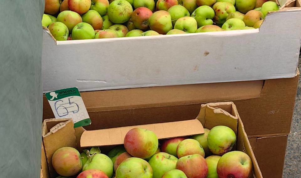 В Краснодаре резко подешевела черешня и подорожали огурцы