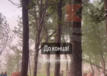 Пострадал ли кто-то в результате падения дерева в парке Галицкого в Краснодаре