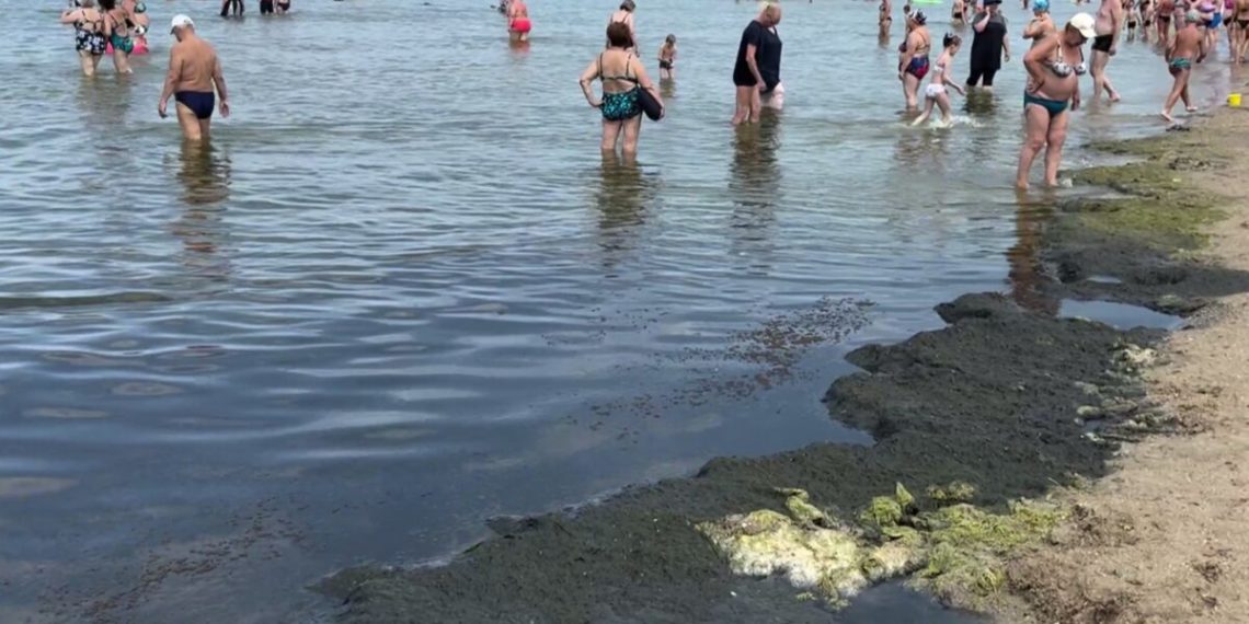 Мошки, тина, вонь: обстановку на Центральном пляже Анапы сняли на видео