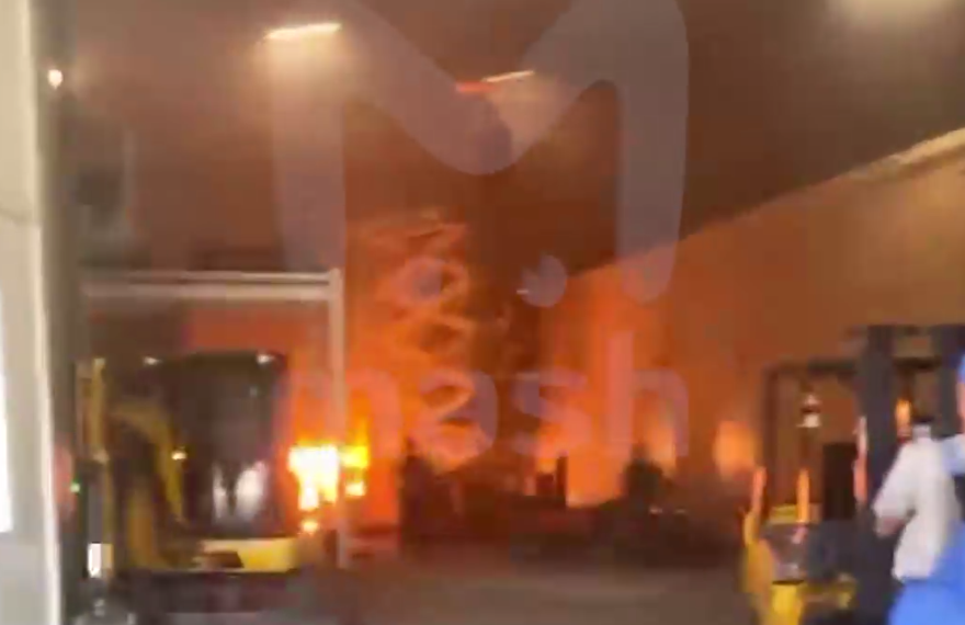 Назвали причину пожара в знаменитом парке Галицкого в Краснодаре