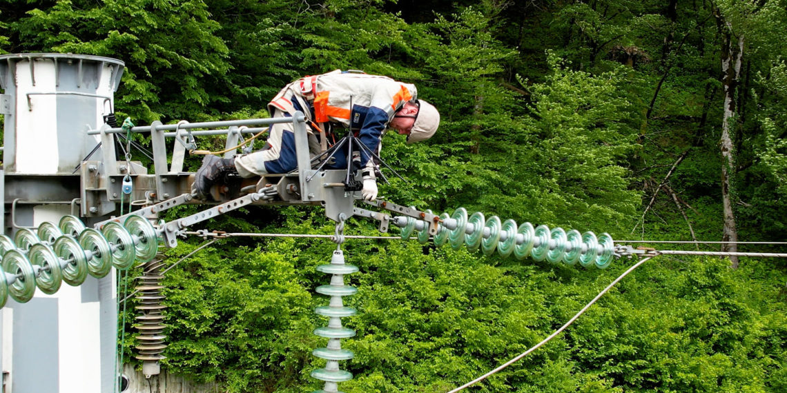 «Россети Кубань» установили более 710 птицезащитных устройств в сочинском энергорайоне в 2024 году