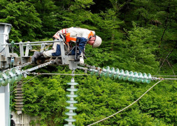 «Россети Кубань» установили более 710 птицезащитных устройств в сочинском энергорайоне в 2024 году