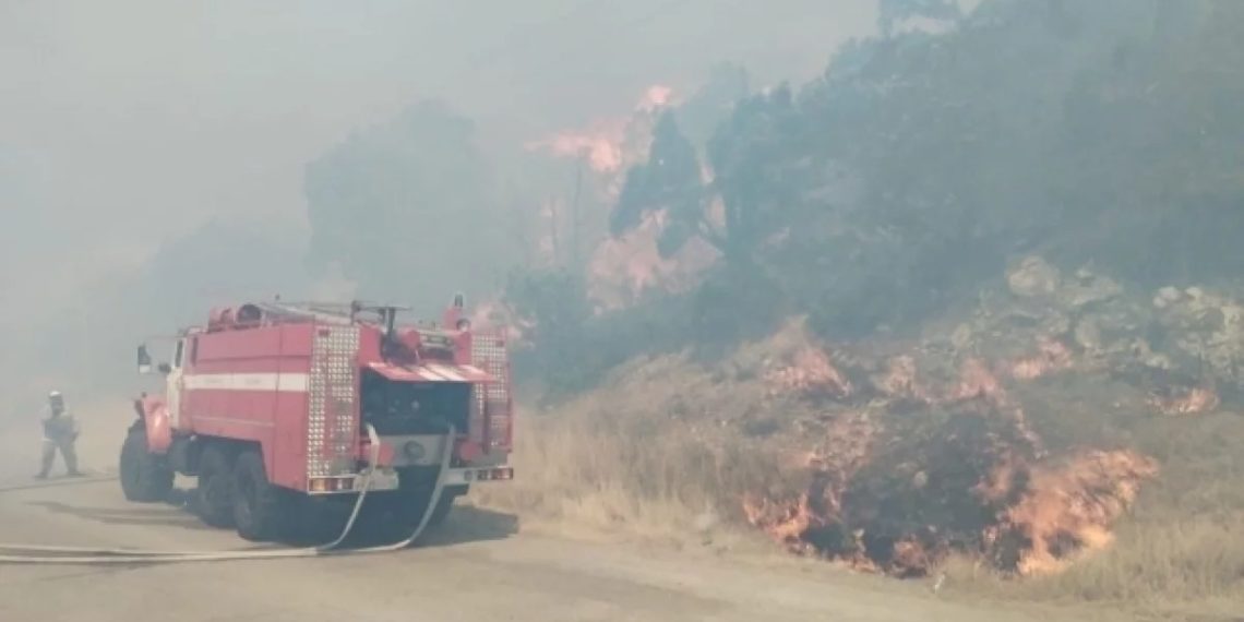 Въезд в Дюрсо под Новороссийском закрыли из-за мощных пожаров