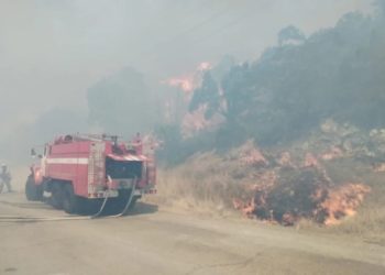 Въезд в Дюрсо под Новороссийском закрыли из-за мощных пожаров