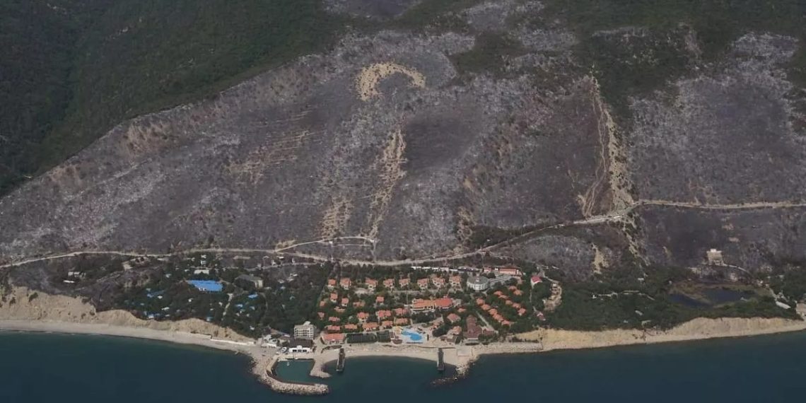 Пожар под Новороссийском нанес ущерб в сотни миллионов рублей