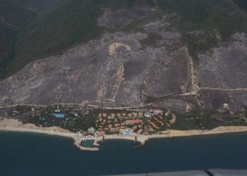 Пожар под Новороссийском нанес ущерб в сотни миллионов рублей