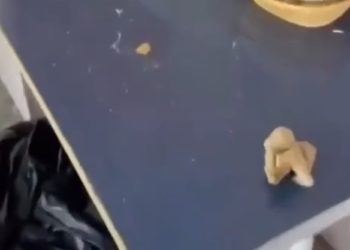 Родители пришли в ужас от условий в летнем лагере «Солнечный берег» в Новомихайловке