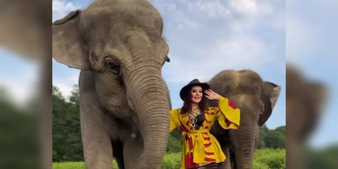 «Мисс Вселенная-2002» Оксана Федорова устроила встречу со слонами в Сочи