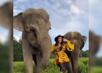 «Мисс Вселенная-2002» Оксана Федорова устроила встречу со слонами в Сочи