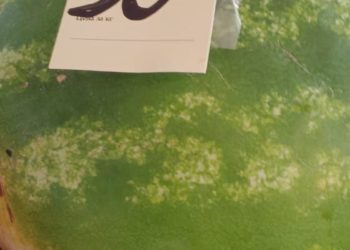 Стало известно, сколько стоят овощи и фрукты в разгар сезона в Сочи